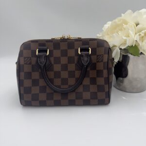 Louis Vuitton Speedy 20 Damier Ebene