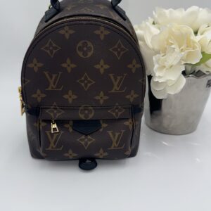 Louis Vuitton Palm Springs Mini