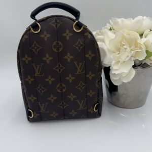 Alternative view of Louis Vuitton Palm Springs Mini