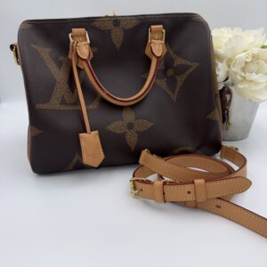 Louis Vuitton Giant Reverse Speedy 30