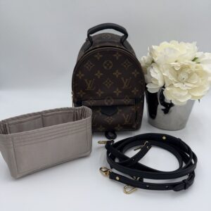 Louis Vuitton Palm Springs Mini