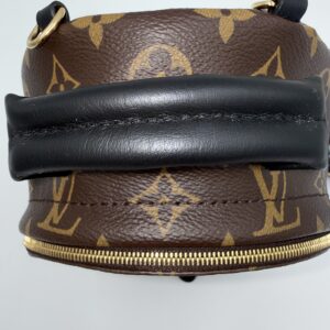 Louis Vuitton Palm Springs Mini - Image 3