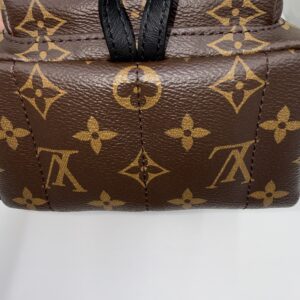 Louis Vuitton Palm Springs Mini - Image 5