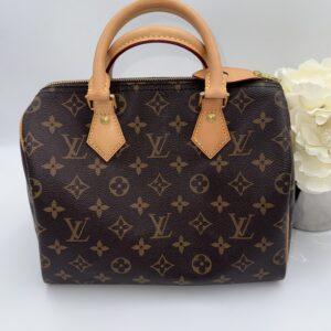 Louis Vuitton Classic Speedy 25