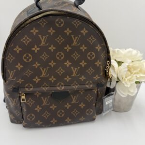 Louis Vuitton Palm Springs MM Backpack