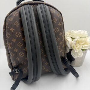 Louis Vuitton Palm Springs MM Backpack - Image 2