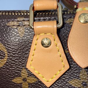 Louis Vuitton Vivienne Nano Speedy - Image 5