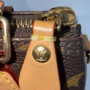 Louis Vuitton Vivienne Nano Speedy - Image 4