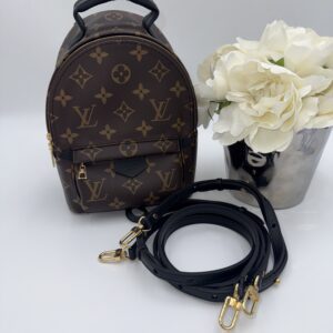 Louis Vuitton Palm Springs Mini