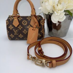 Louis Vuitton Celebration Nano Speedy