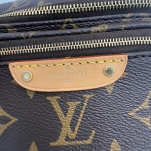 Louis Vuitton Mini Bumbag - Image 3