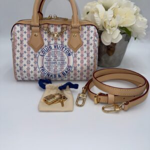 Louis Vuitton Blue Stamped Speedy 20