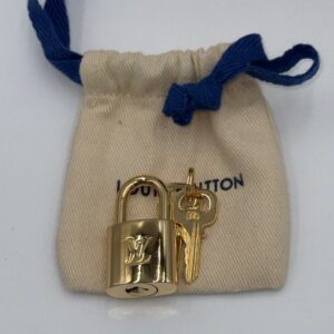 Louis Vuitton Blue Stamped Speedy 20 - Image 5